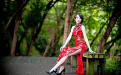 干露露苏紫紫全套